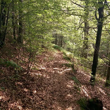 Gib Mir Funf! In Apartamento *