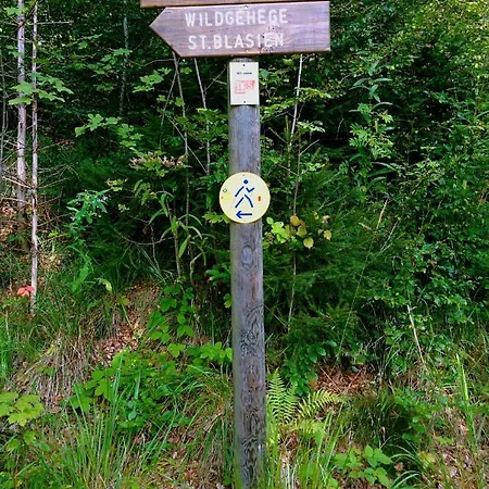 Apartamento Gib Mir Funf! In St. Blasien